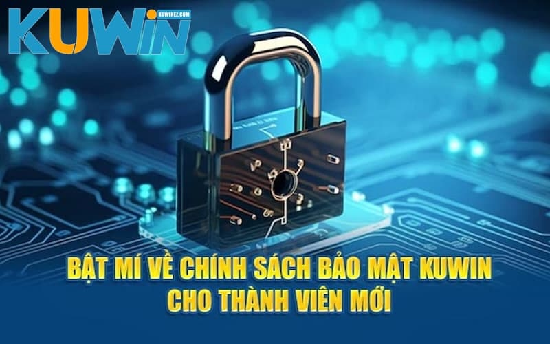 Khái quát về chính sách bảo mật tại nhà cái Kuwin cho khách hàng