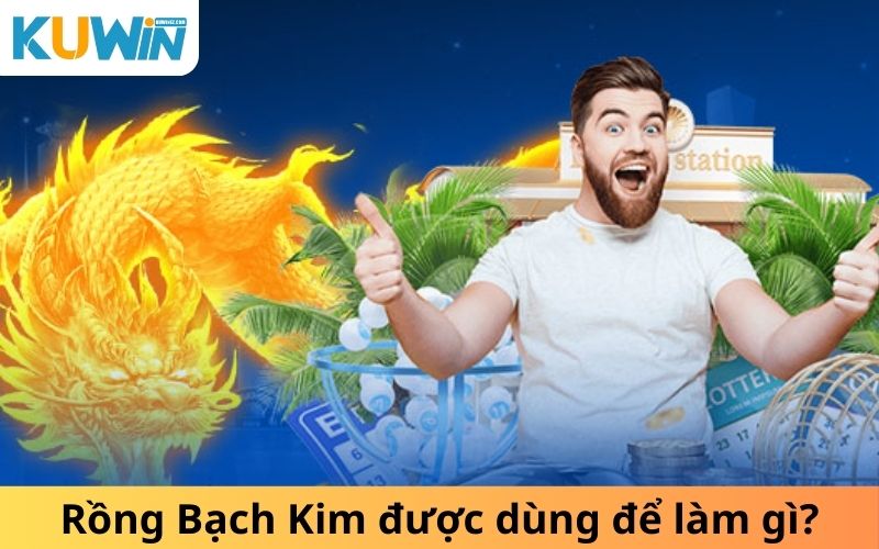 Rồng Bạch Kim được dùng để làm gì